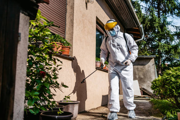 Best Pest Prevention Services  in San Mateo, CA