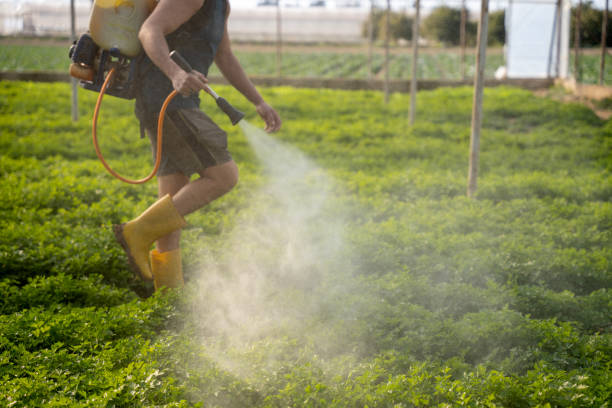Best Pest Removal Services  in San Mateo, CA