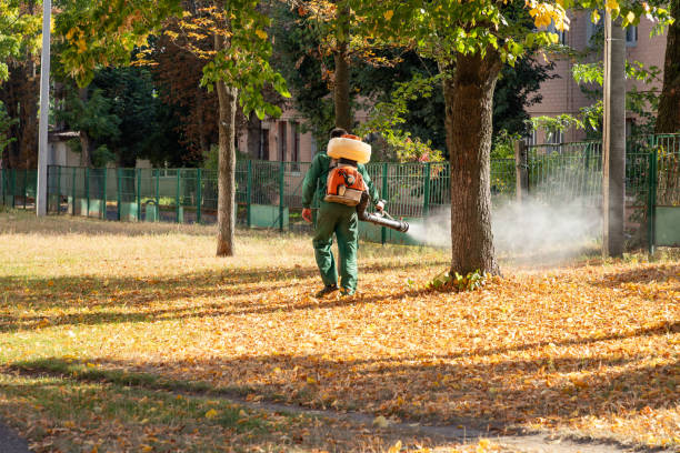 Best Residential Pest Control  in San Mateo, CA