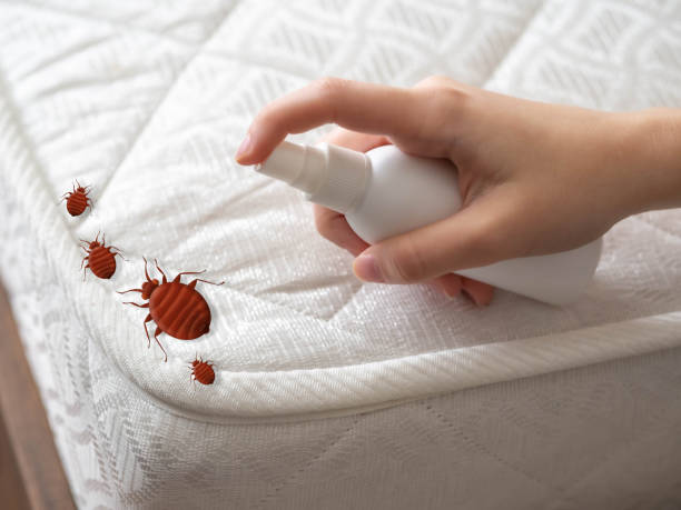 Best Residential Pest Control  in San Mateo, CA