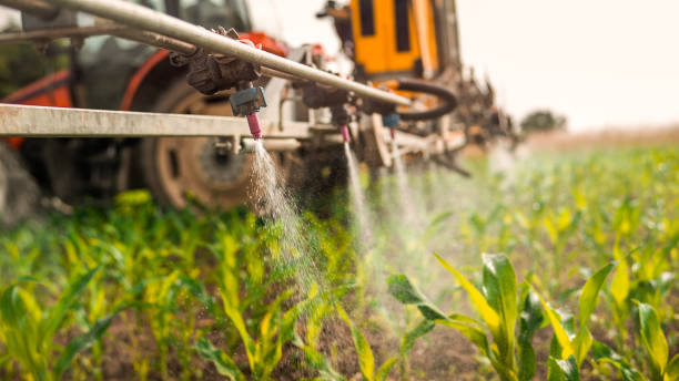 Best Commercial Pest Control Services  in San Mateo, CA